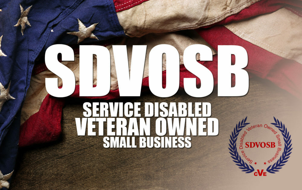 USAF 3" Senior Pilot Wings WIN-0103