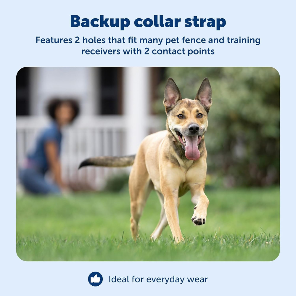 Replacement Collar Strap with 2 Holes - Adjustable Design for In-Ground & Wir...