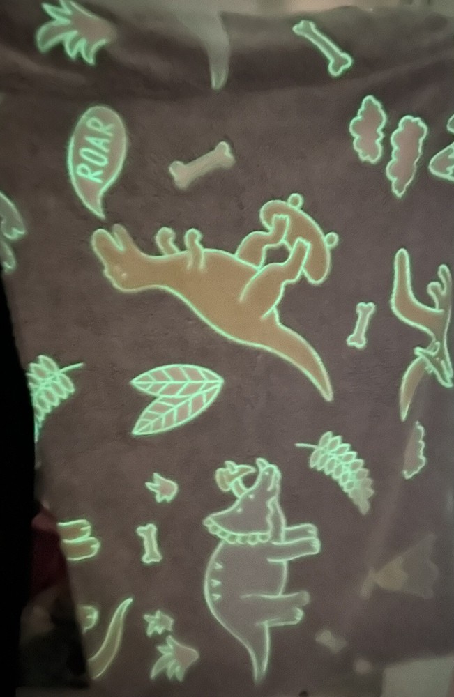 Glow in the Dark Plush Dinosaur Pillowcase