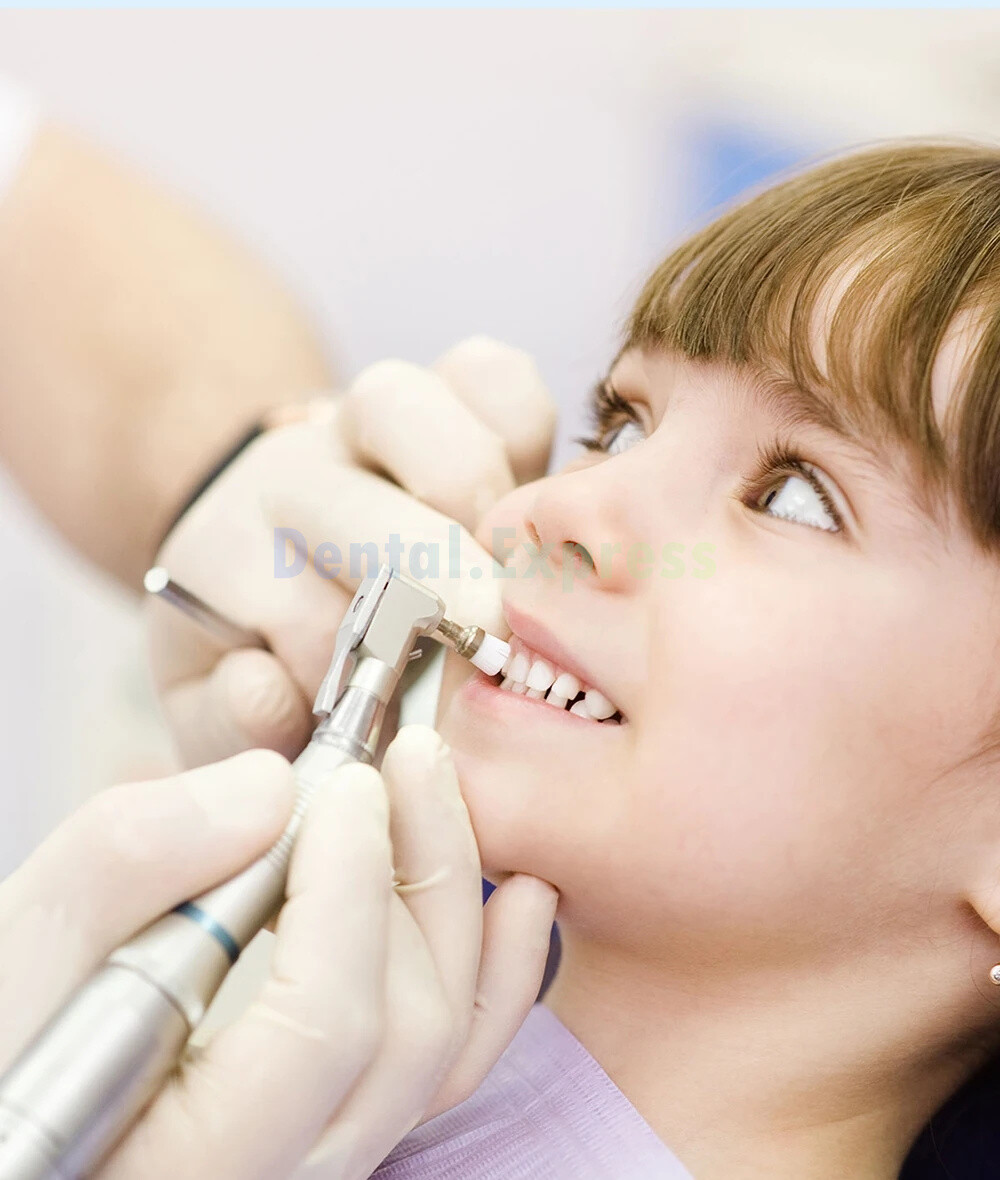 Dental Polishing Brushes Prophy Brush White Nylon Bowl Flat Latch RA Polisher