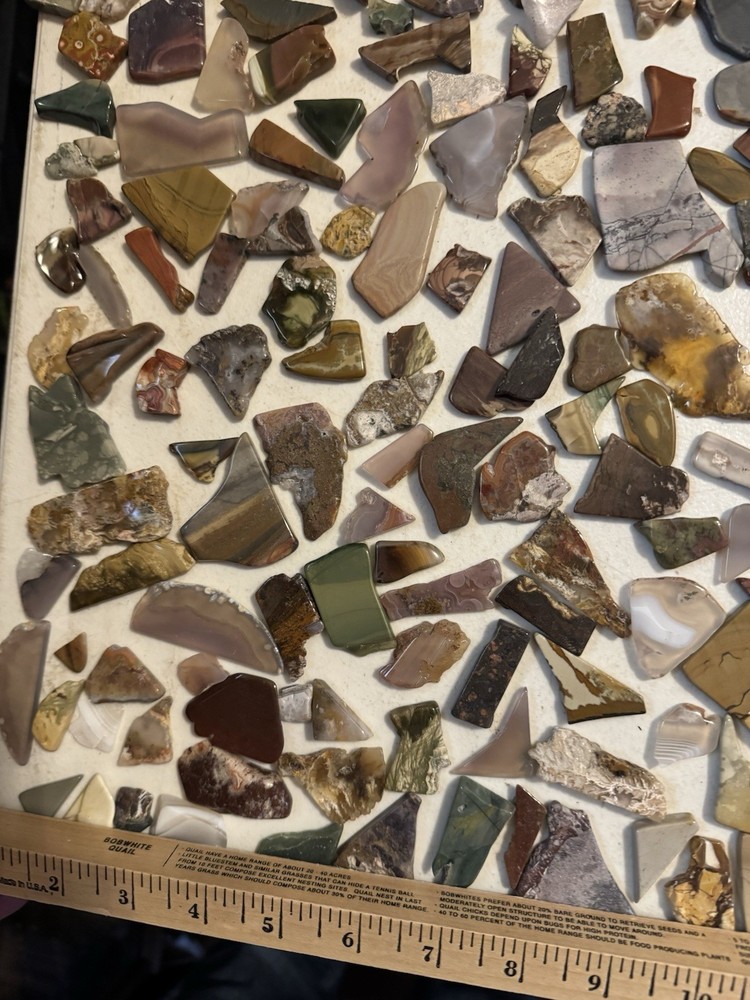 8 POUNDS SLICED POLISHED ROCKS