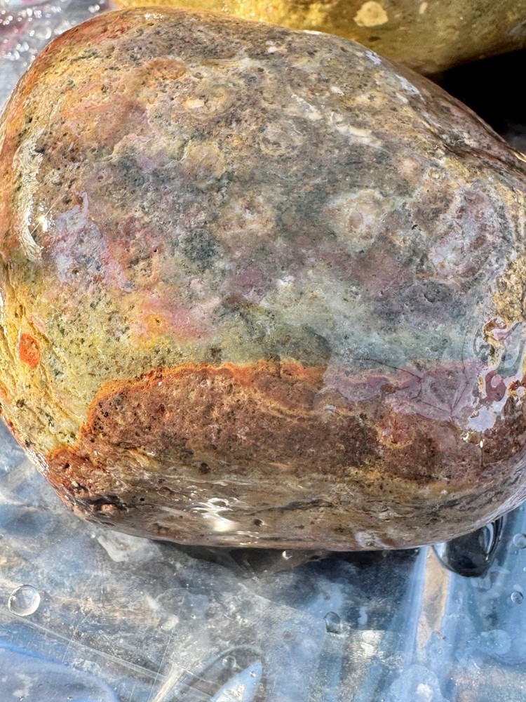 jasper rough lbs Polychrome 7 Lbs