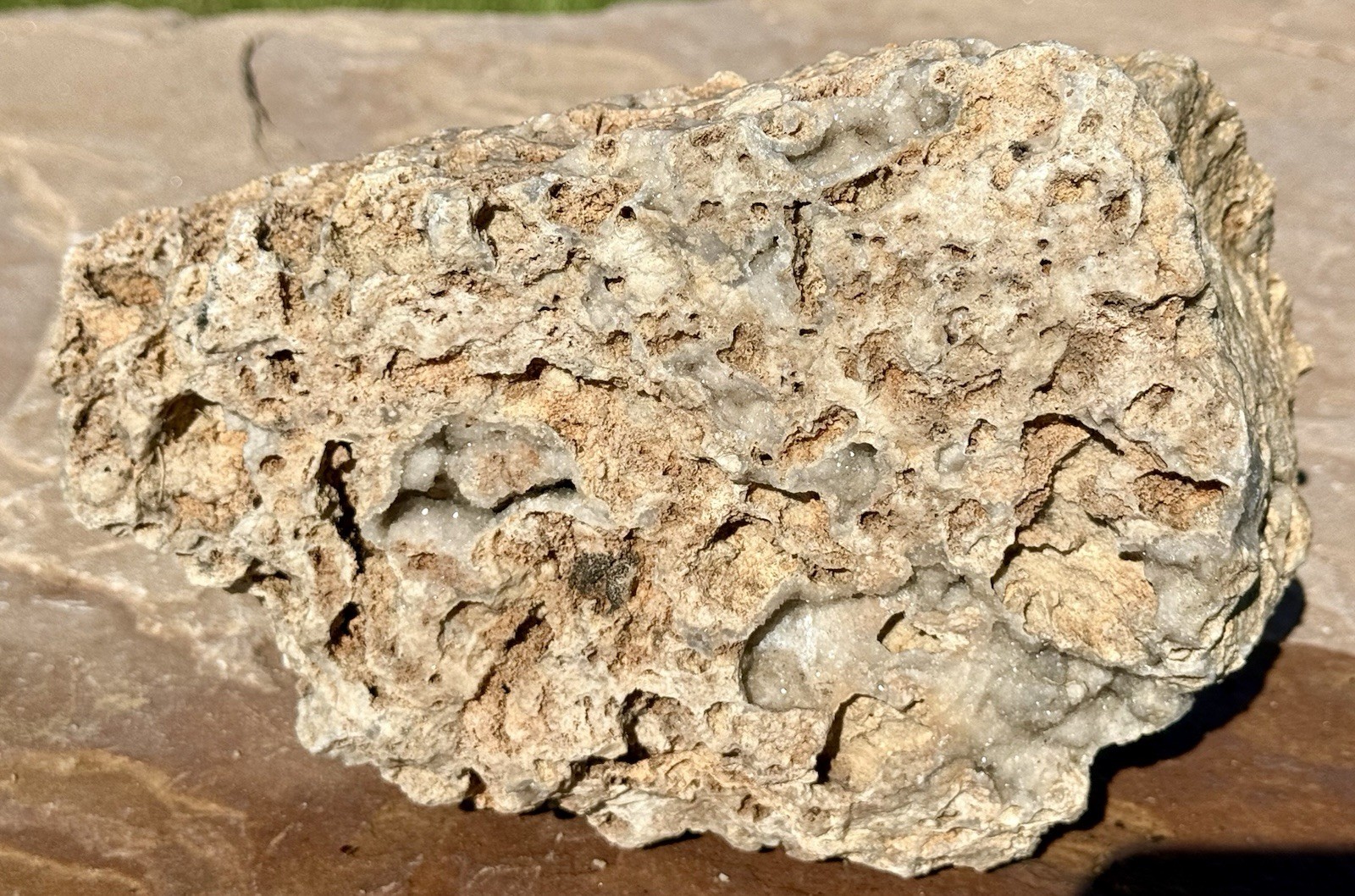 GORGEOUS* 7 Lb Crystallized Fossil Coral Reef Rock~Brilliant Druzy Sparkle