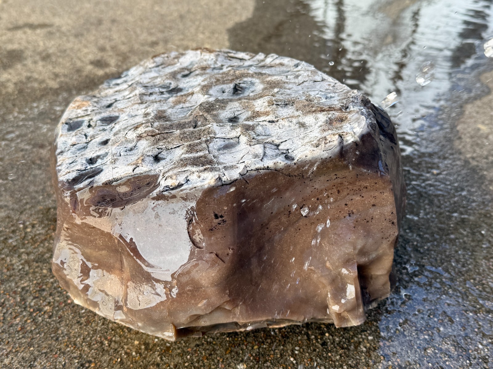 LARGE 30.4 lb Texas Flint Edwards Plateau Chert Nodule Garden City TX Knapping