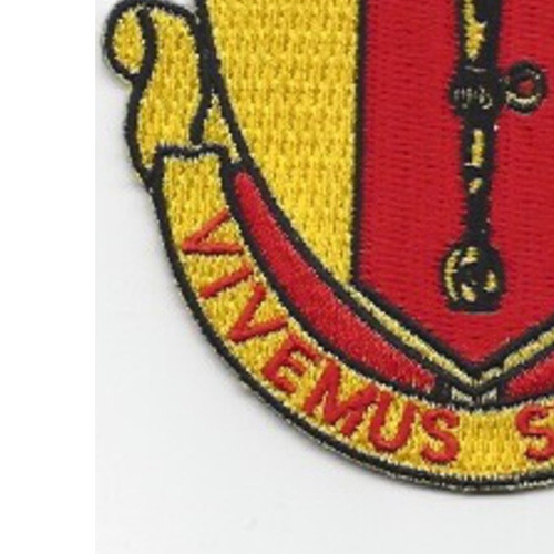 808th Airborne Ordnance Battalion Patch