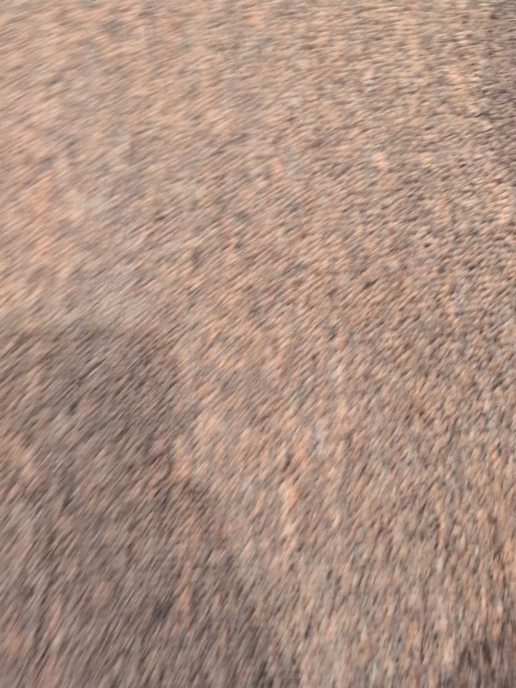 Guyatone Ultron Optical Auto Wah GST-U05