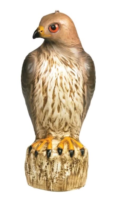BIRD-B-GONE MMRTH1 RED TAILED HAWK DECOY