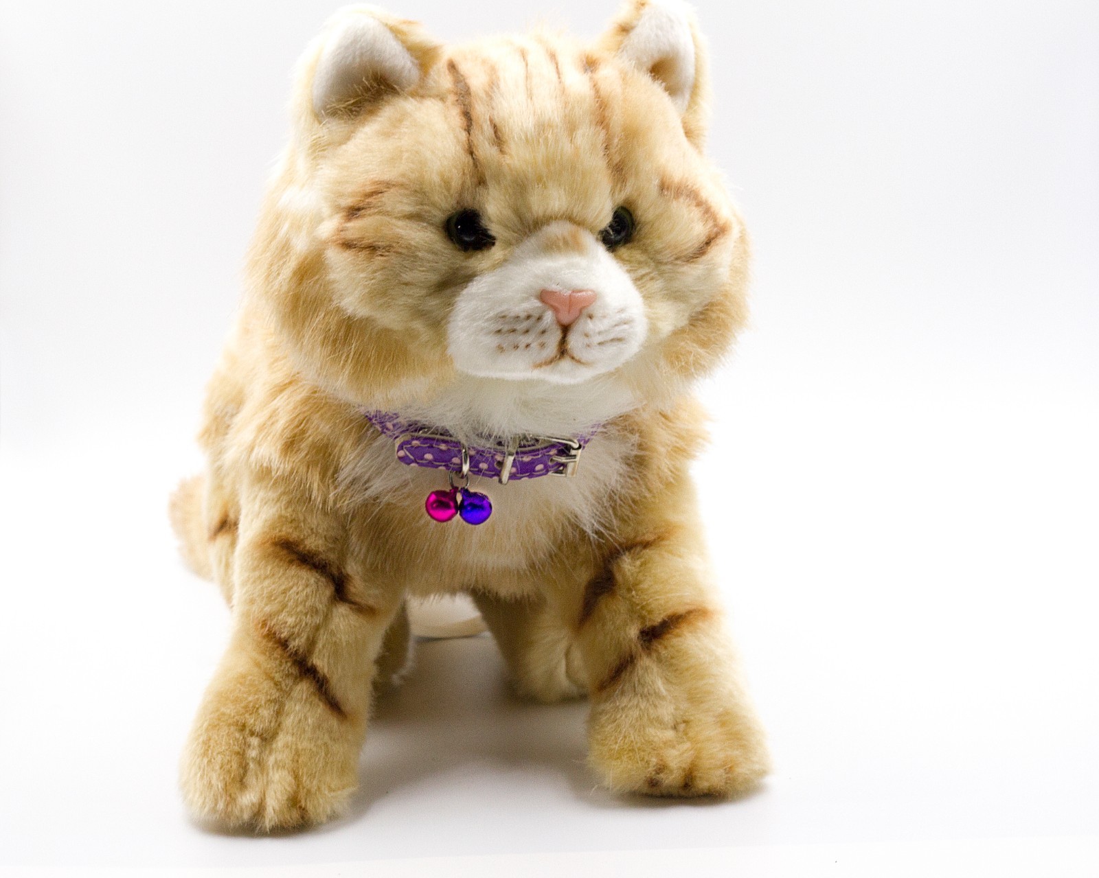 Polka Dot Charming Color Leather Cat Collar with 2 Bells by AXEL PETS