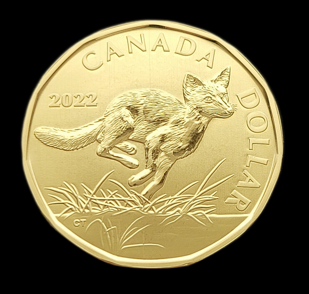 ***  CANADA   LOONIE   2022  ***  SWIFT  FOX   ***