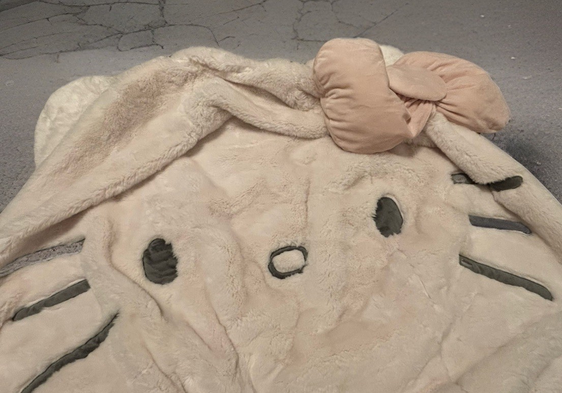 NEW Pottery Barn Teen Hello Kitty Bean Bag Slipcover Faux Fur IVORY Keys Soft