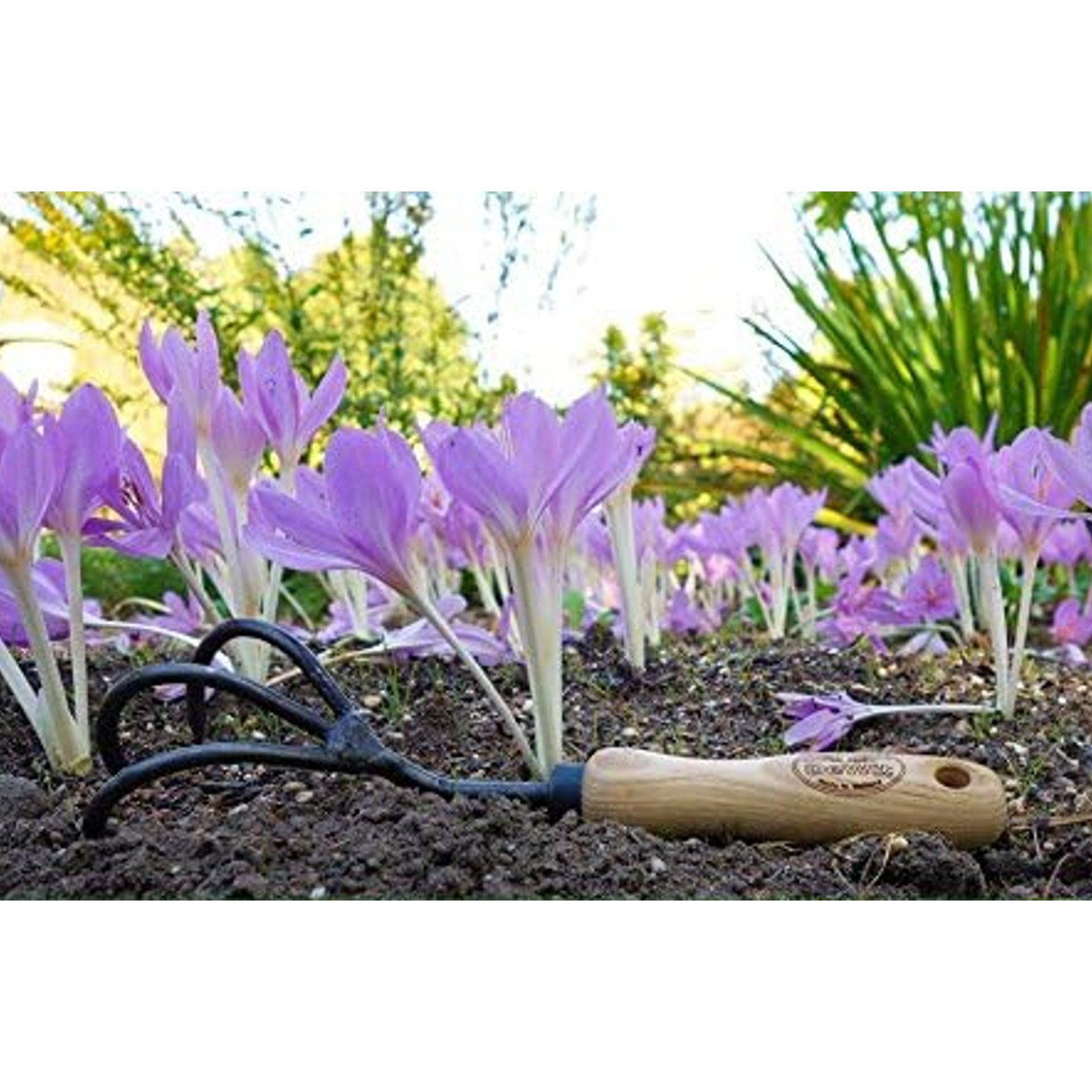 DeWit 3-Tine Cultivator, Boron Steel and Ash Wood Handle, 11.5 inches long