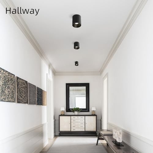 Modern Ceiling Spot Light Fixture, Dimmable Flush Mount Light 4.72'' Black