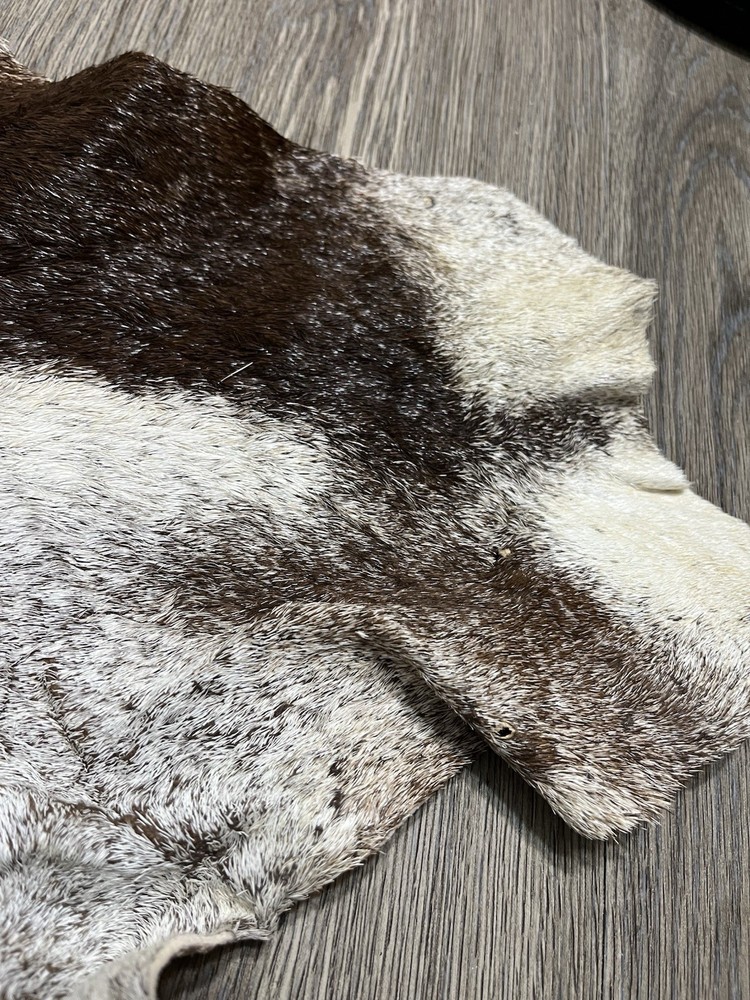 African Gemsbuck Antelope 1/2 Hide Long