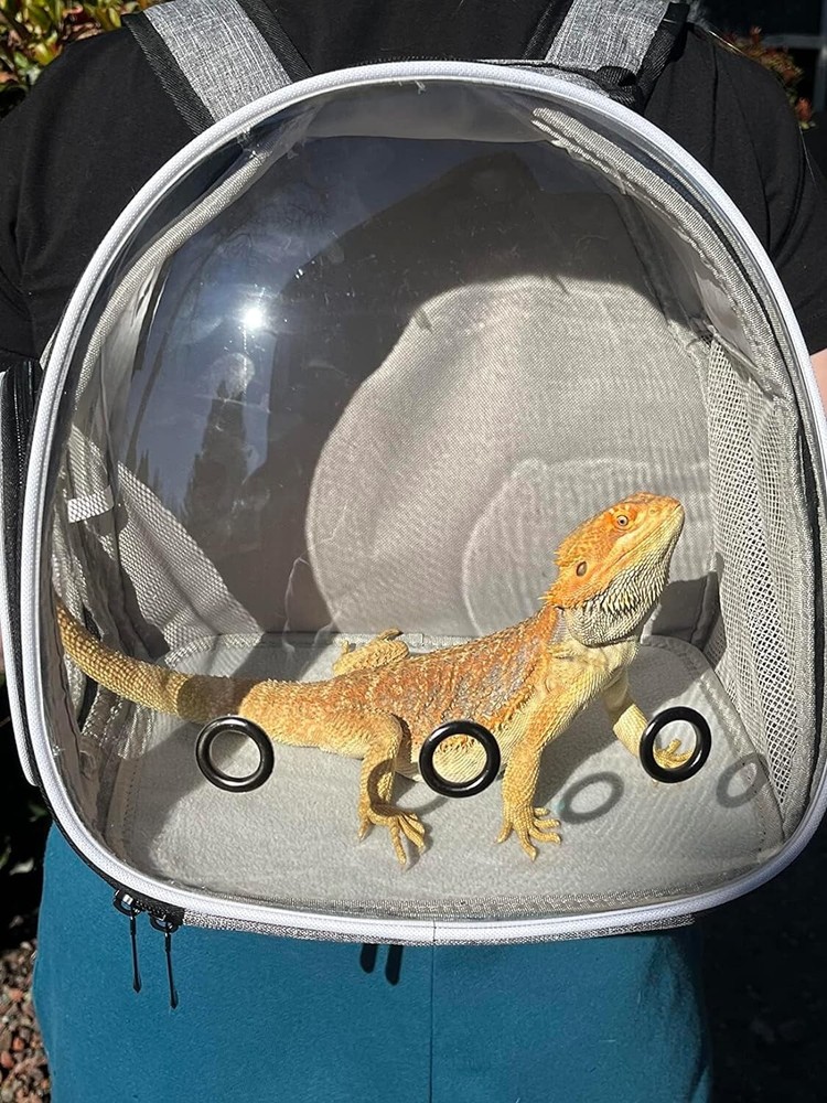 Clear Guinea Pig Backpack, Space Capsule Bubble Window Backpack Carrier for Guin