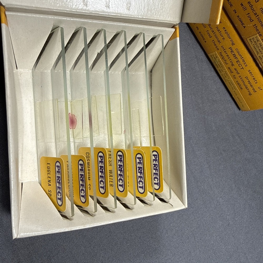 Antique microscope slides - 24 Perfect Prepared Microscope Slides Insects Etc