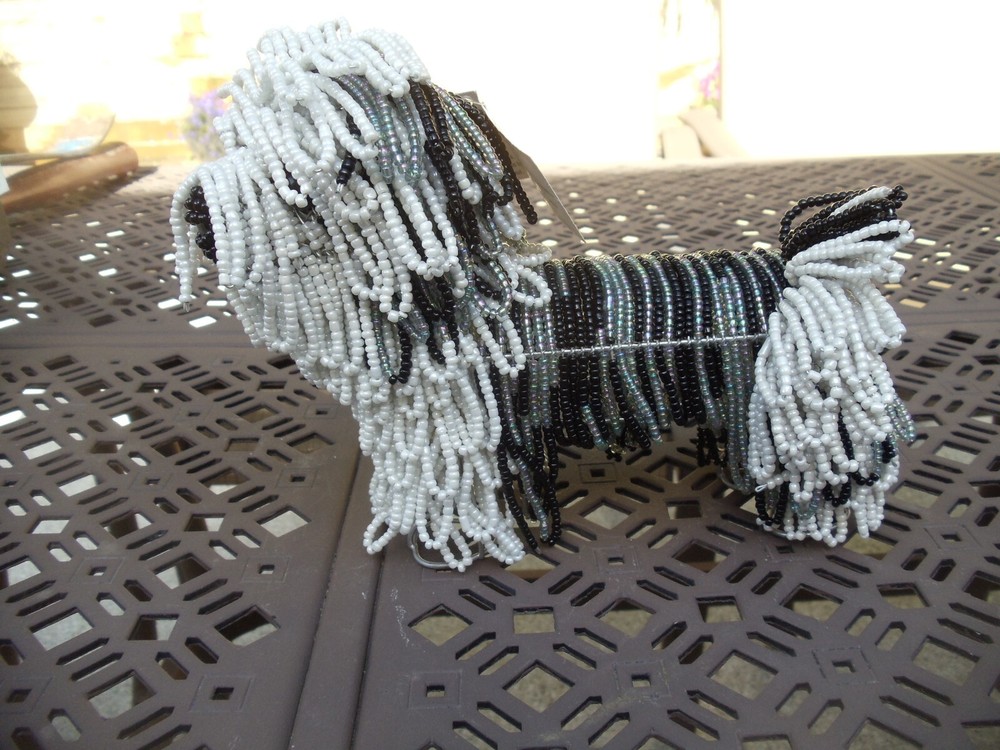 Beaded land: Long-haired Shih Tzu