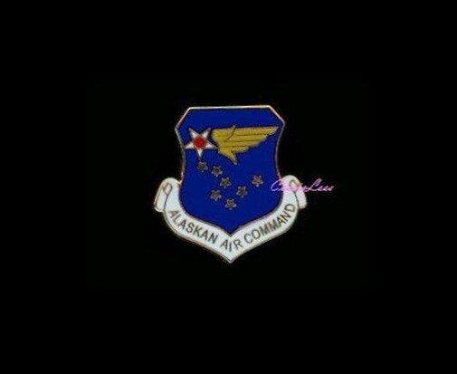 USAF Alaskan Air Command Shield + a custom promo pin