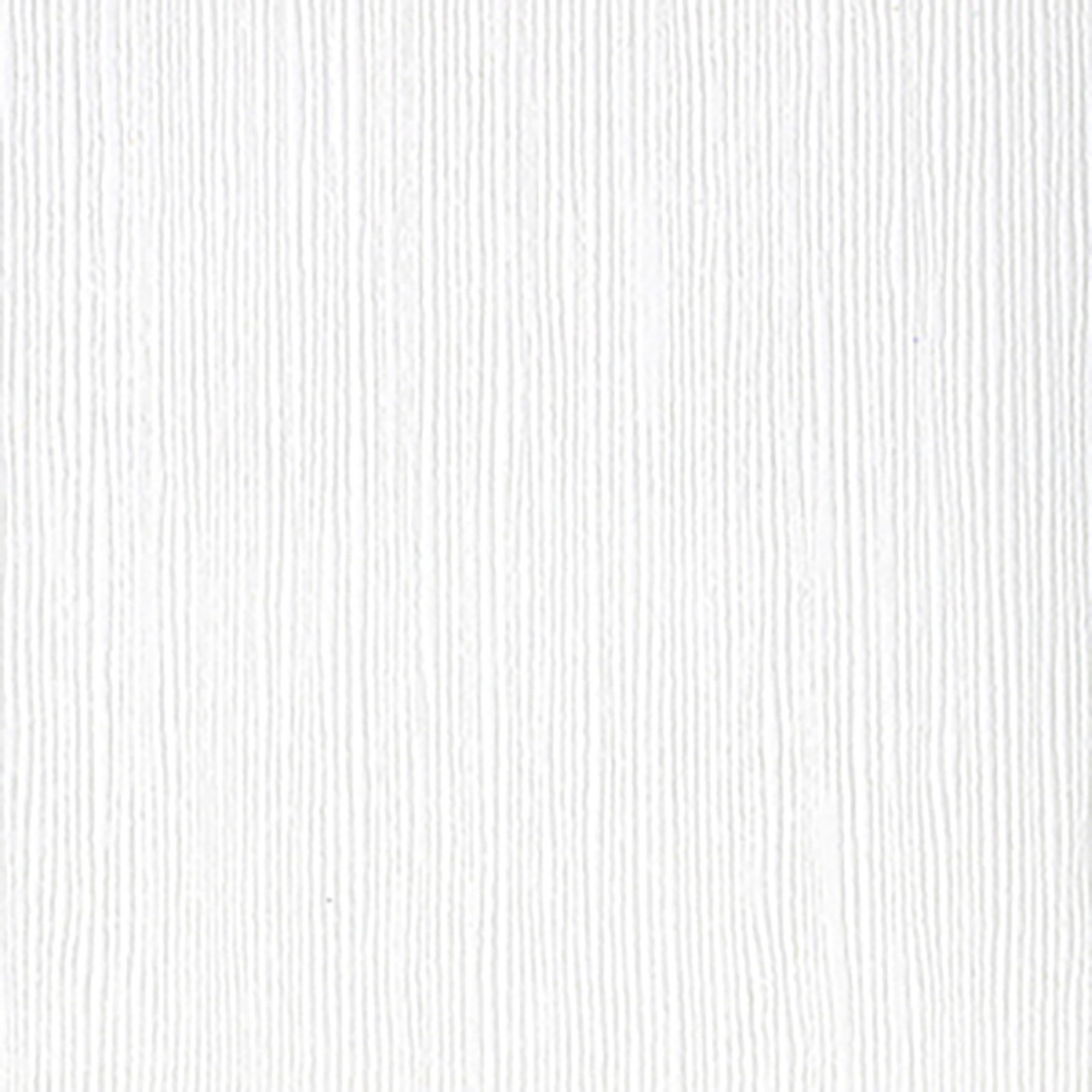 Bazzill Fourz Cardstock 12"X12"-Avalanche/Grasscloth - 25 Pack