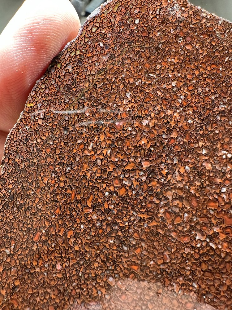 Dinosaur bone rough **hxtled slab.