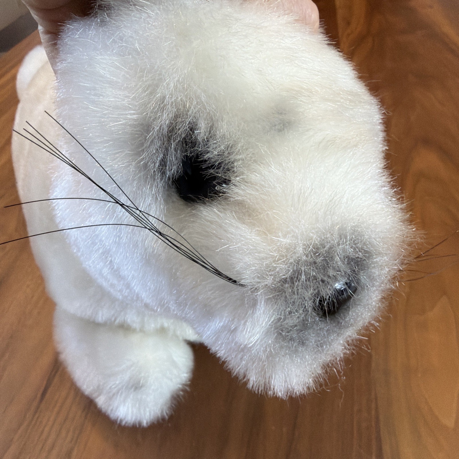 R. DAKIN 1982 Vintage Seal 21” Plush Soft Toy Stuffed Animal Cream RARE HTF EUC