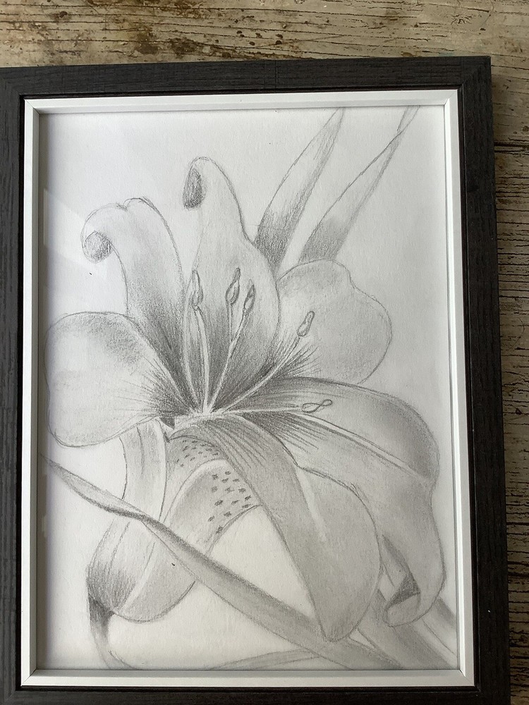 Lilly Drawing Picture