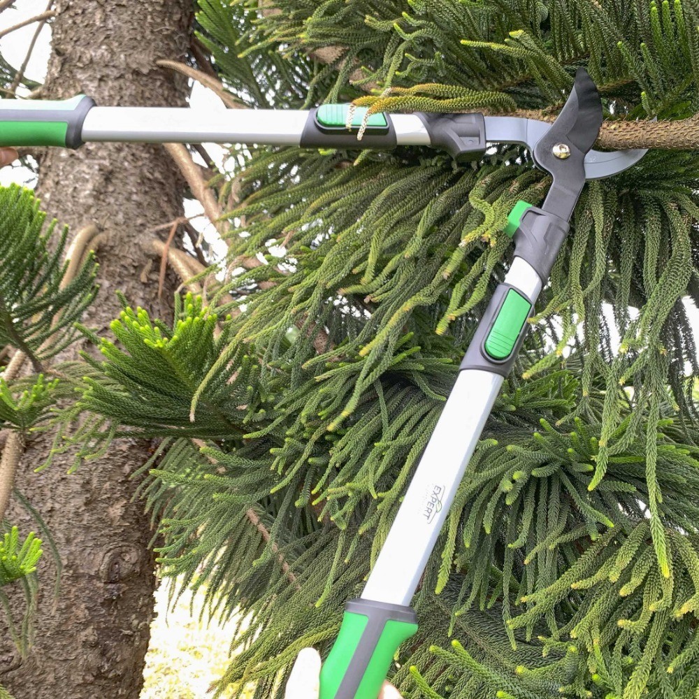 Extendable Tree Cutter 38 Inch Anvil Lopper Garden Pruning Shears Tool
