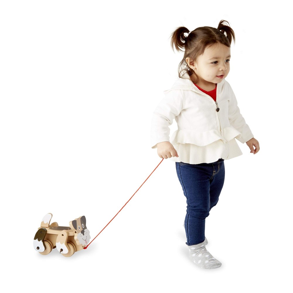 Playful Puppy Pull Toy