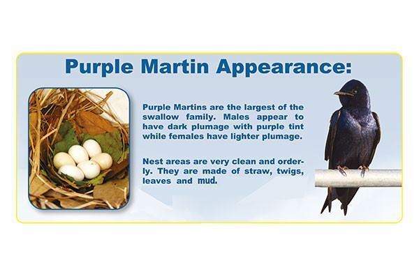 S&K Purple Martin Barn House , 16 Room, Pole Mount,Starling Resistant