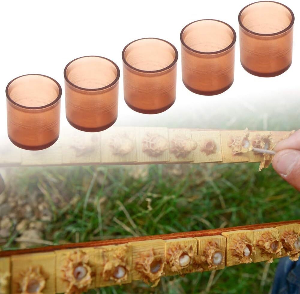 500Pcs Queen Bee Rearing Cell Cups Plastic Beekeeping Tools Safe Durable