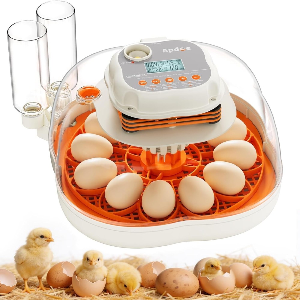 Elegant Egg Incubator with Automatic Turning & Temperature Control for 12 Eggs