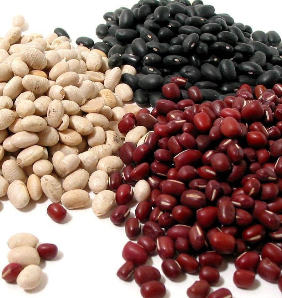 Bulk Dried Beans (select flavor/size below)