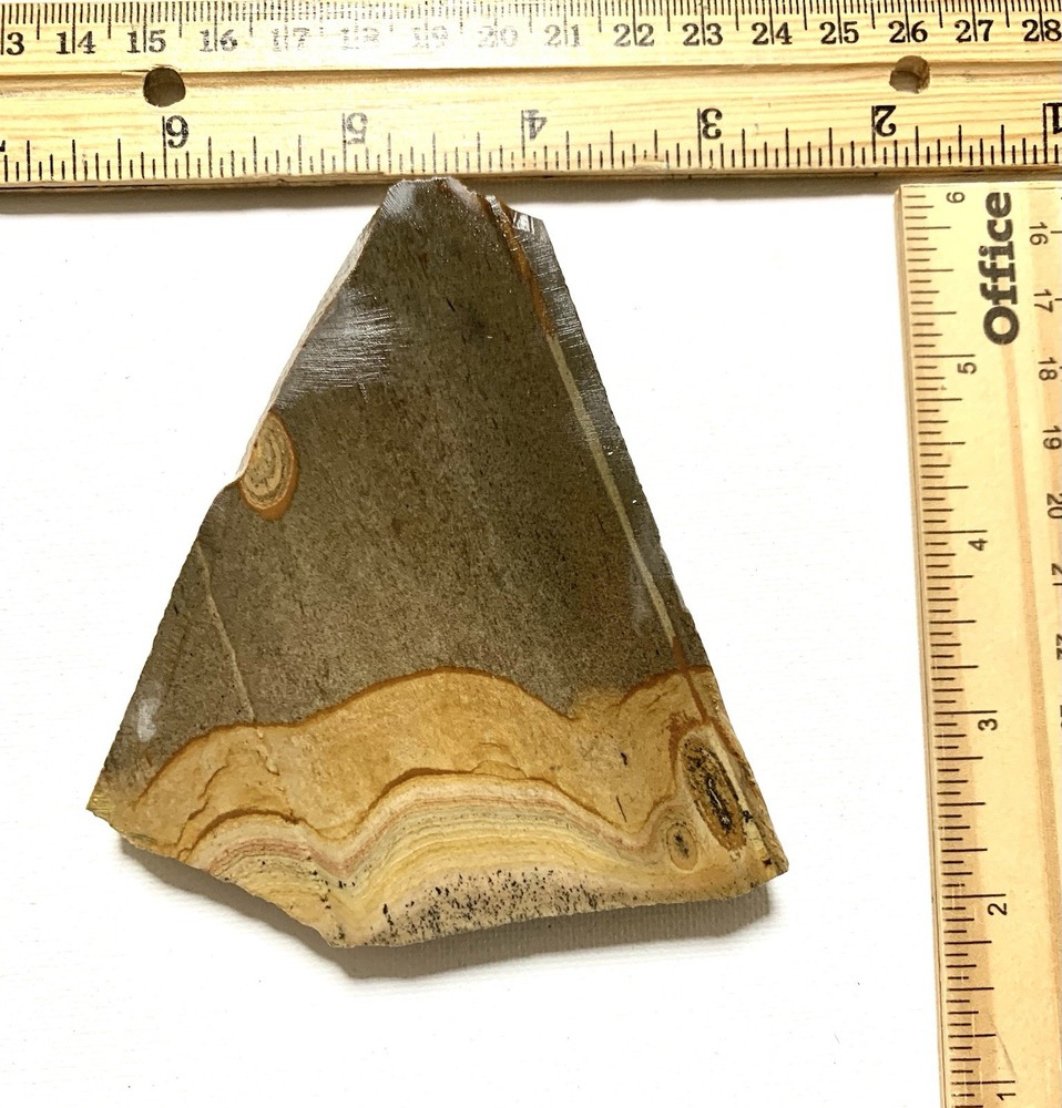Shadow Mountain Picture Jasper Slab