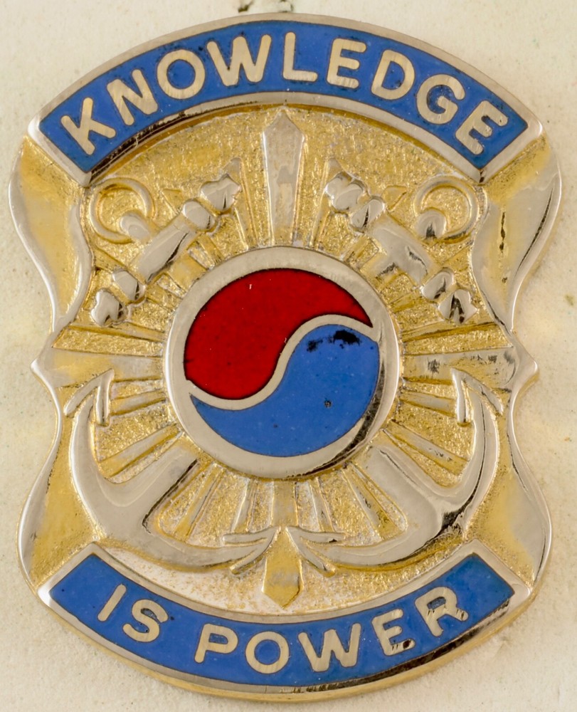 163rd Military Intelligence Battalion Crest DI/DUI CB