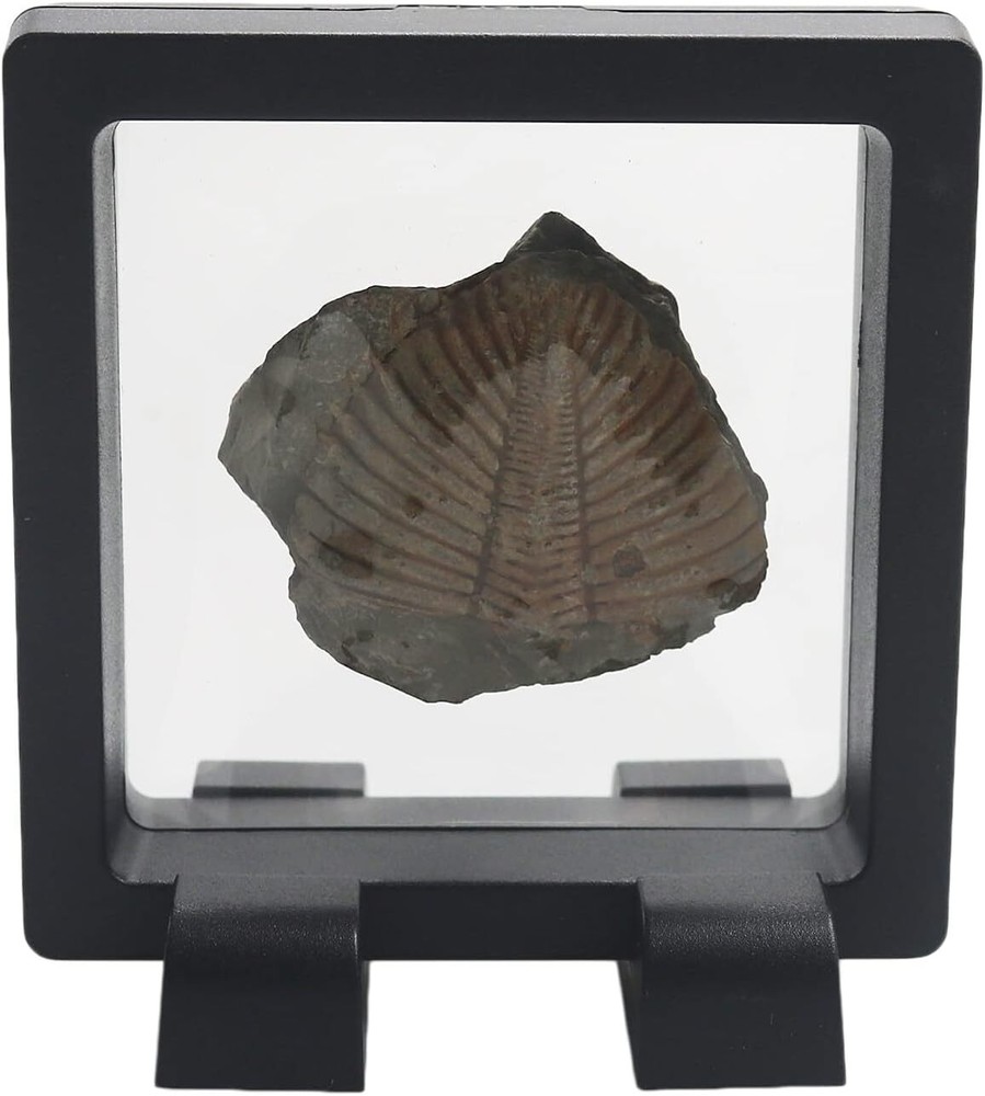 Challenge Coin Holder, Single Coin Display Case, 3D Floating Clear Frame with Fe