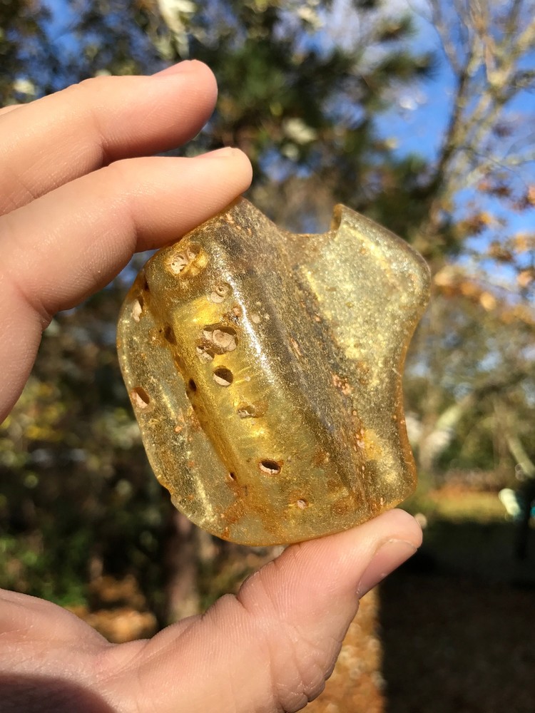 Baltic Amber