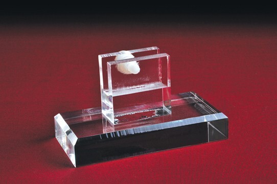 (1) Acrylic Vertical Slice Support Display 2- 1/8"H