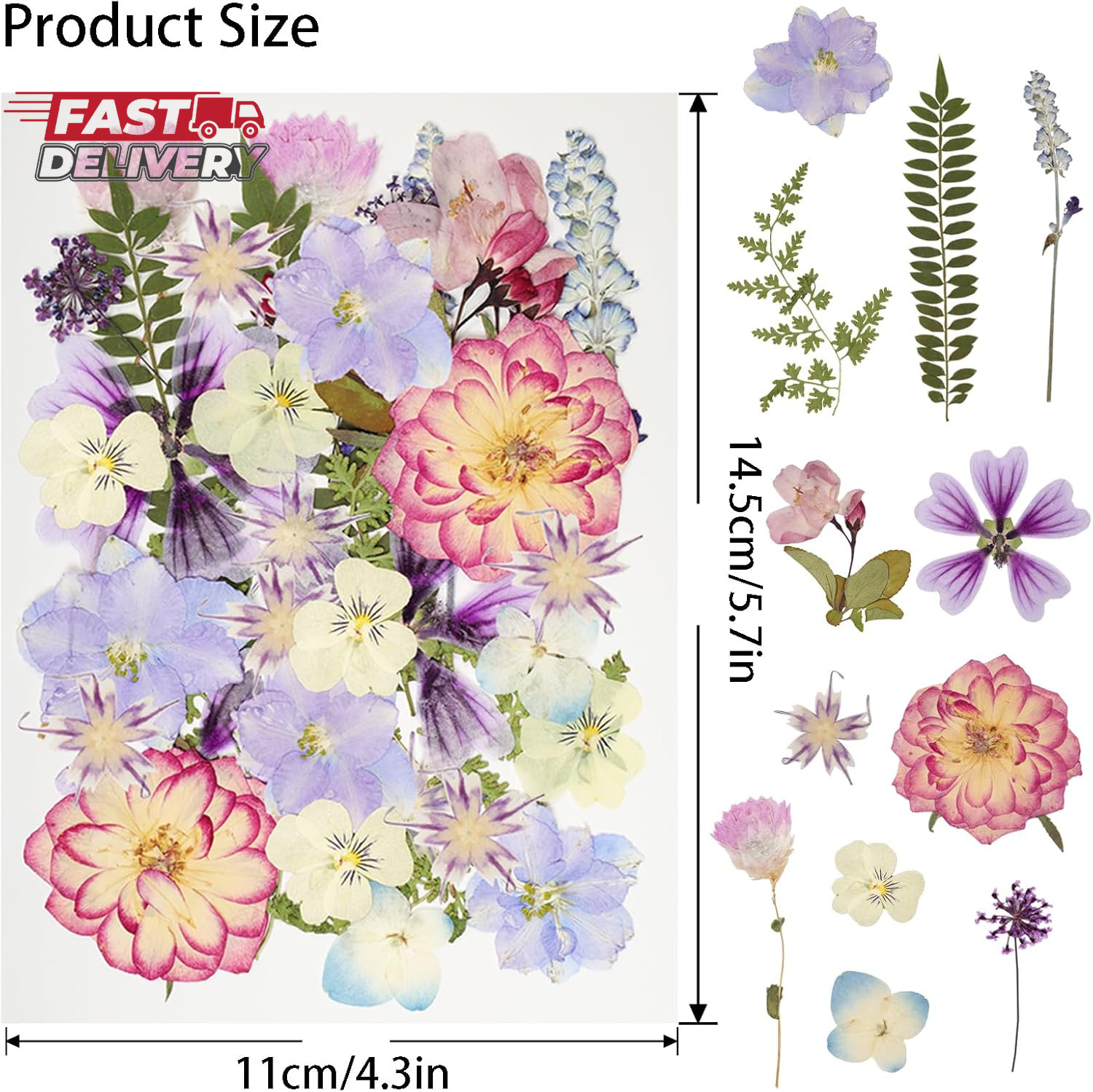 50Pcs Dried Pressed Flowers Resin Mould Real Pressed Flowers Natural Dry Leaves