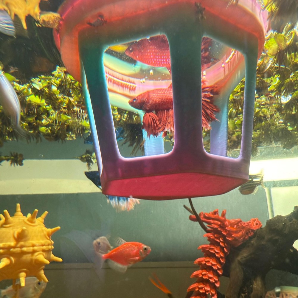 Aquarium Betta Hammock, Betta Hideout & Cave, Floating Feeding Ring for Fish ...