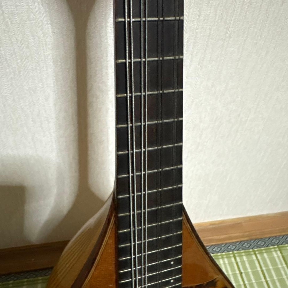 Raffaele Terada Musical Instruments High End Mandolin RM-3 String Used From JPN