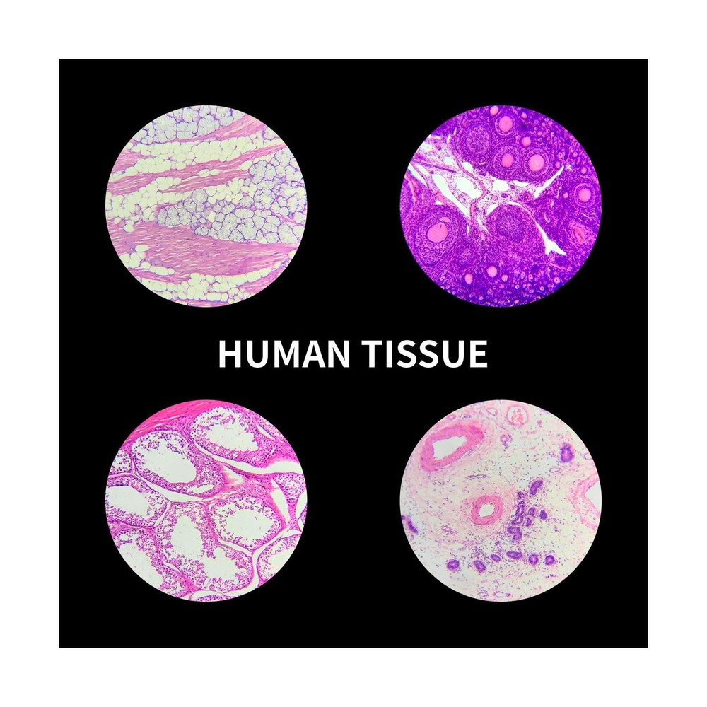100Pcs Prepared Microscope Slides Set Professional Specimens for Kids Student...