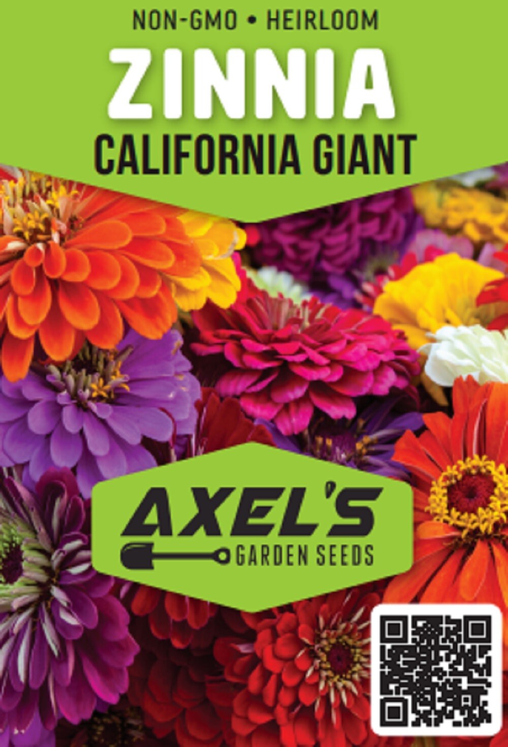 California Giant Zinnia Flower Seeds | Non-GMO | Fresh Annual Flower Seeds