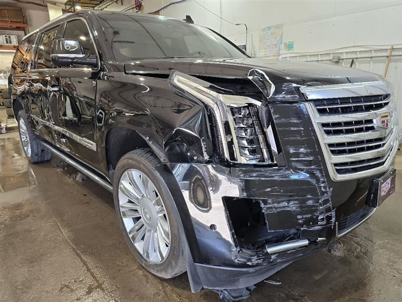 ESCALAESV 2017 Camera/Projector 590723