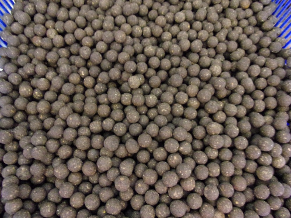 Squid + Octopus boilies 14mm 1kg