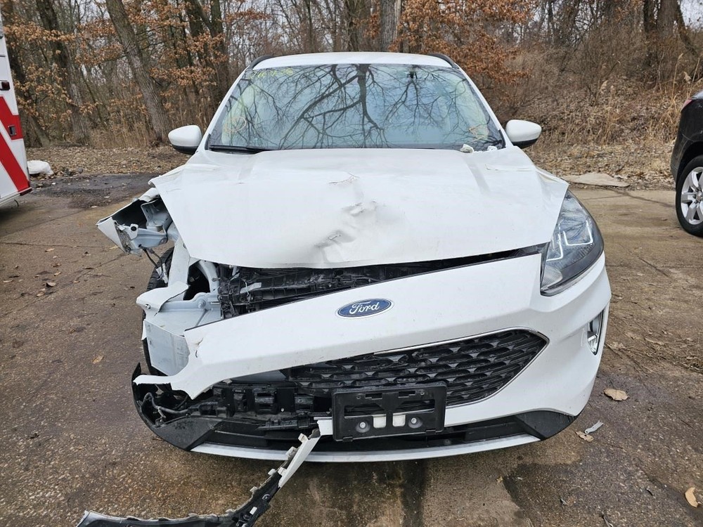 ESCAPE 2020 Jack 2426956