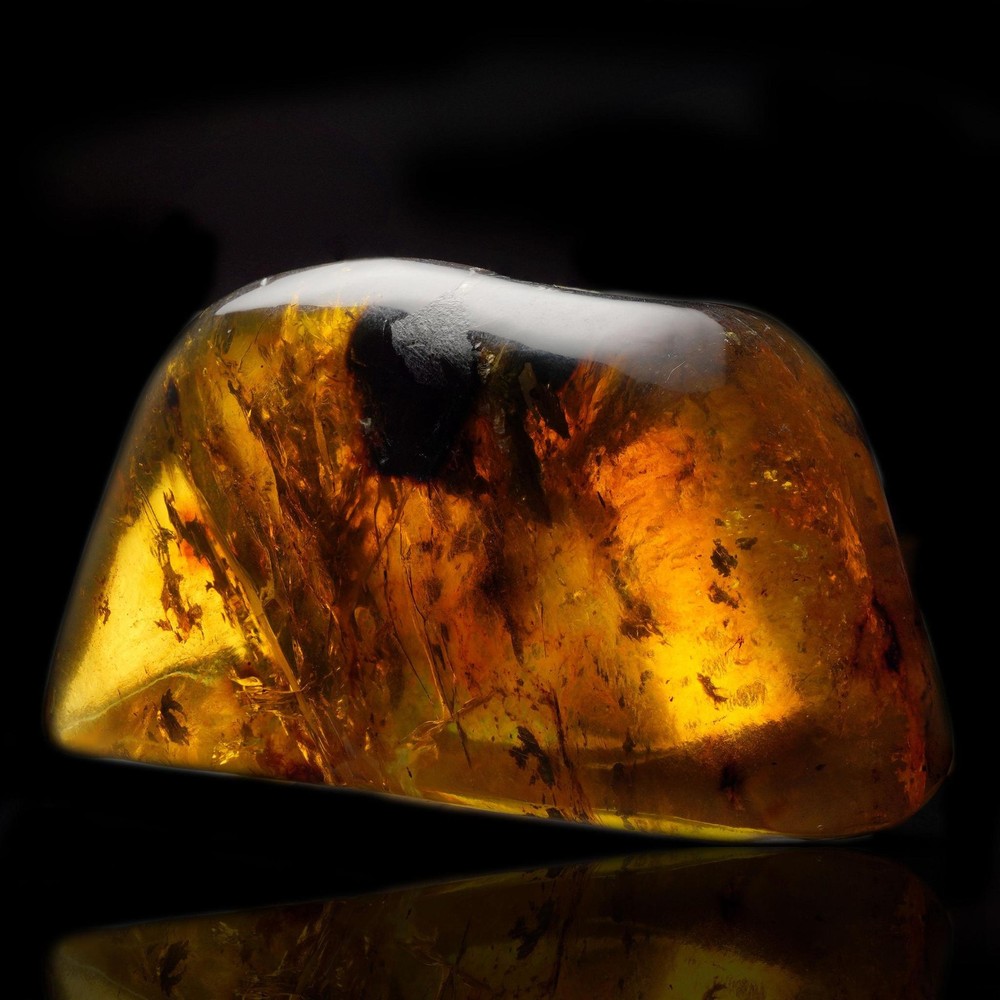 Mexican Amber – 53g