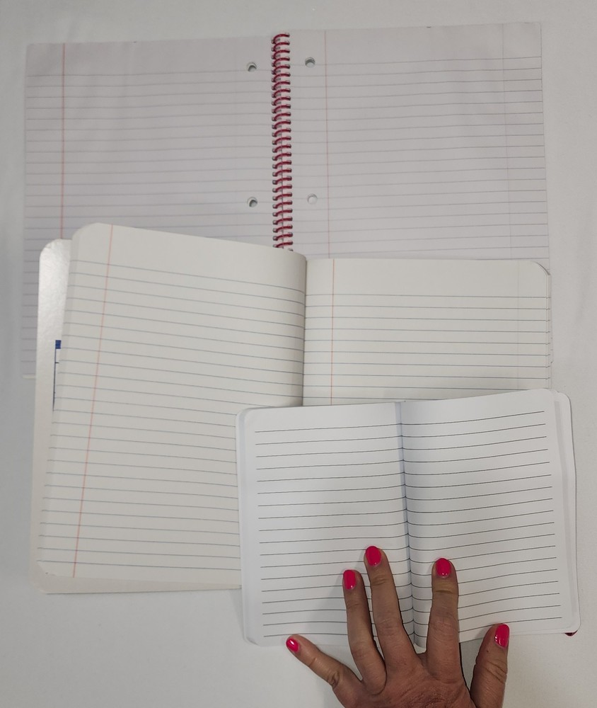Set of 3 Lined Owl Notebooks Different Sizes & Styles