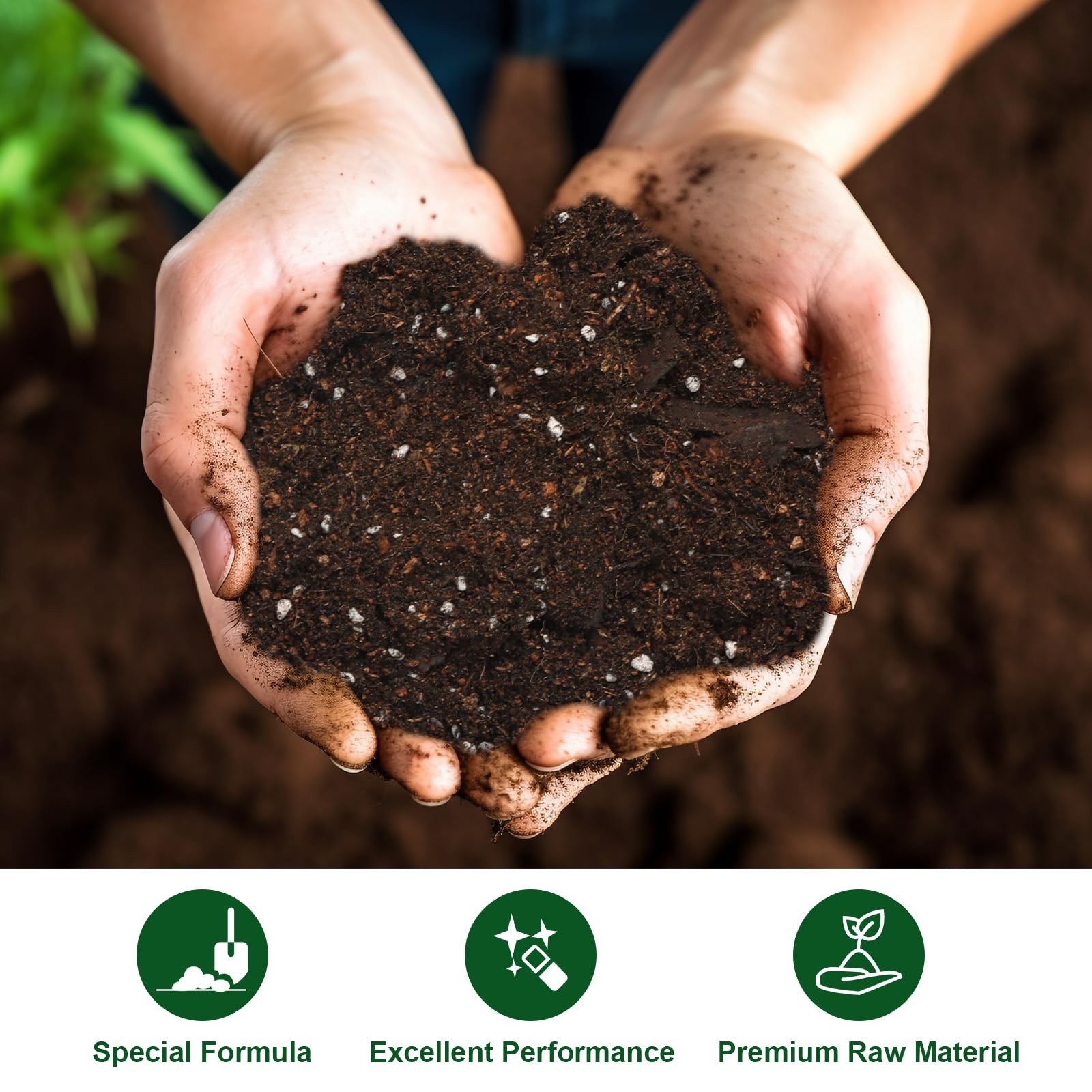 Doter All-Natural Potting Soil for Anthurium & Indoor Plants 10qt - Enhanced Dra