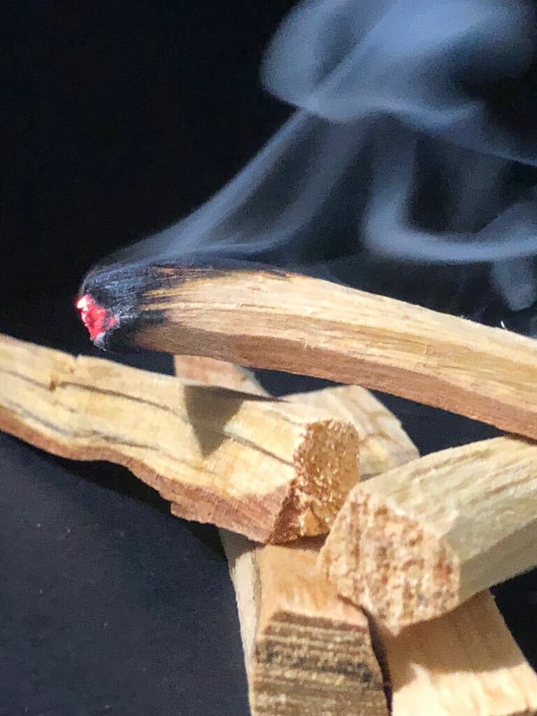 Palo Santo Incense 25 fresh sticks (4+inches long)