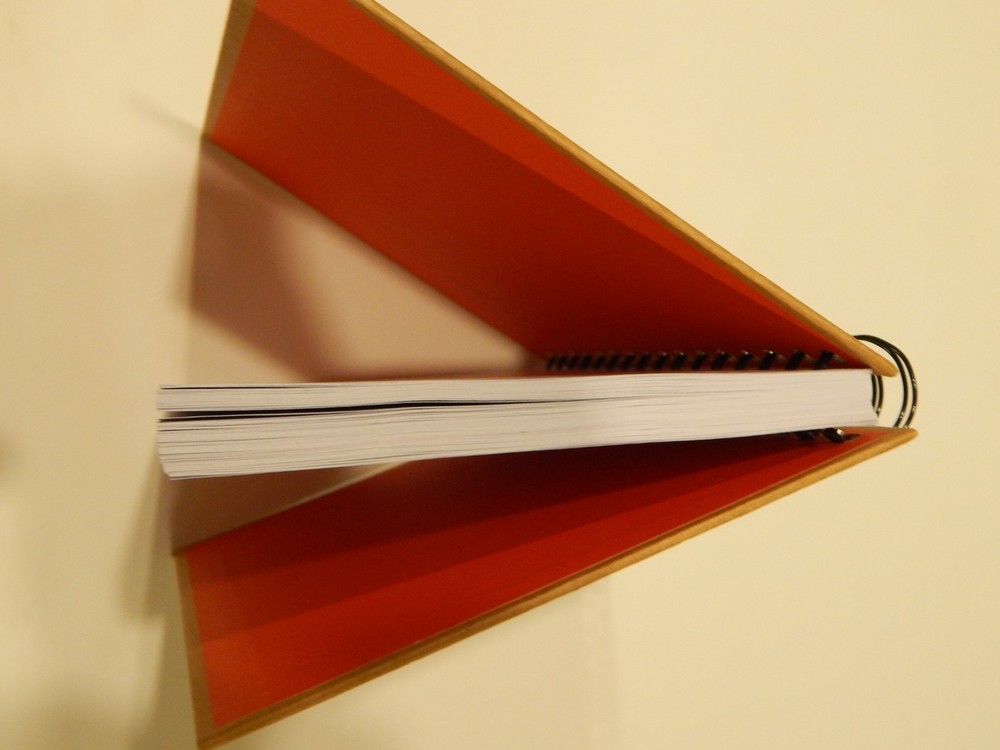 Chasing Lola Spiral Notebook