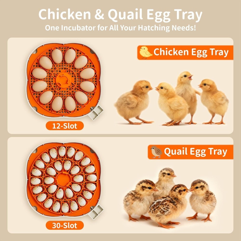 Elegant Egg Incubator with Automatic Turning & Temperature Control for 12 Eggs